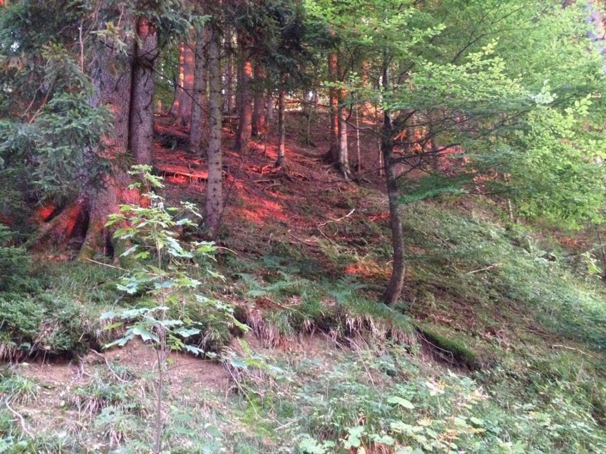 Ferienwohnung Ausblick Missen-Wilhams Eksteriør bilde